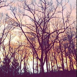 Meet your Posher, Kylee